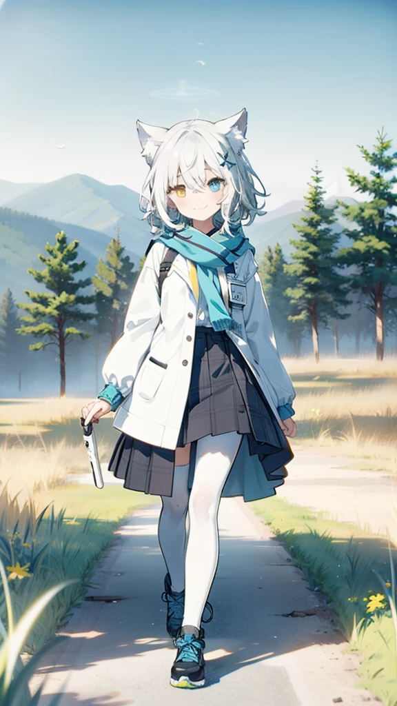 
White hair，Cat ear，Heterochromia（Left blue right yellow），Small size，campus，White pantyhose，grassland，Smile