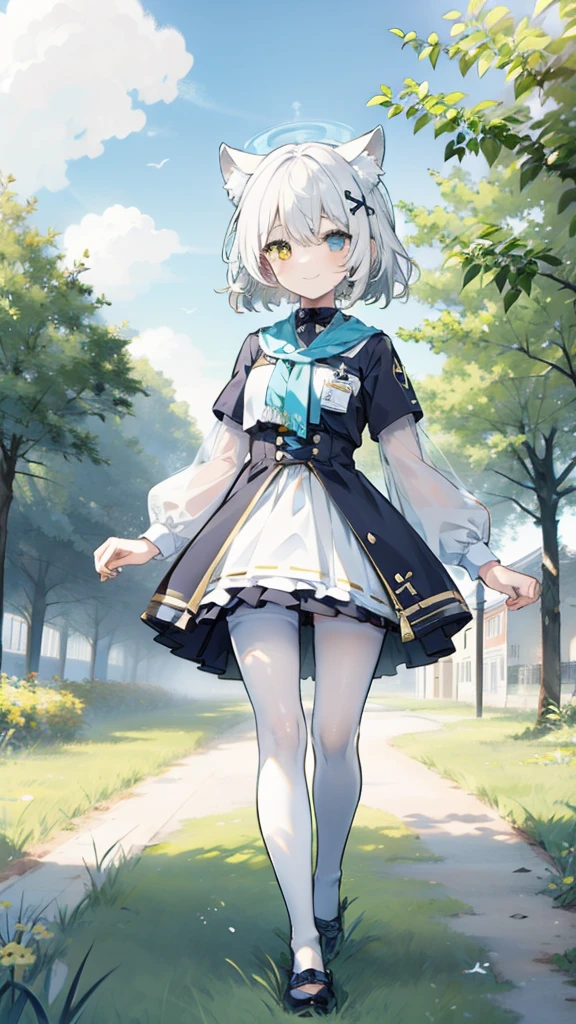 
White hair，Cat ear，Heterochromia（Left blue right yellow），Small size，campus，White pantyhose，grassland，Smile