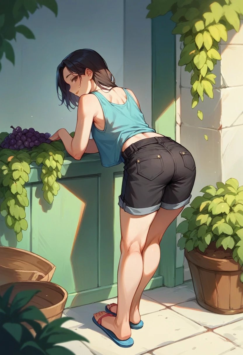 A beautiful Asian woman wearing a blue and white gradient singlet,black cargo shorts, feet wearing flip-flops, bending over to pick grapes in the vineyard