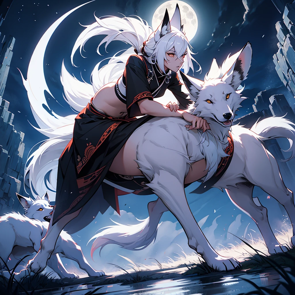 Moonlit night, A white fox with nine tails runs