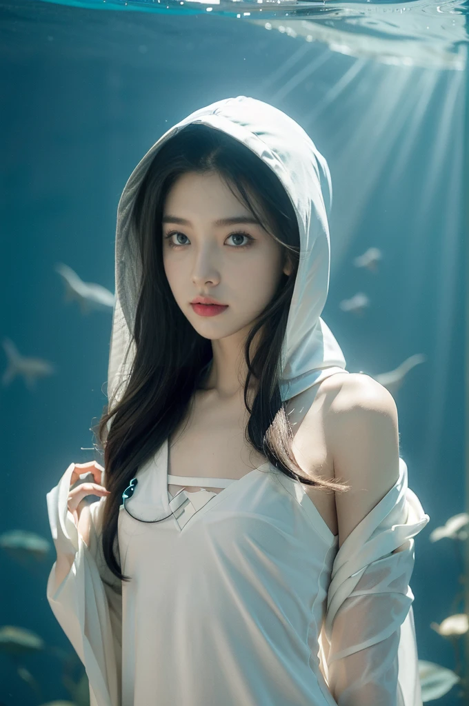 (((best quality))),(((ultra detailed))),(((masterpiece))),illustration,(1 beautiful girl,shark girl,solo),((slim,thin,small breasts,flat chest)),aquarium,summer night,(sleek sharkhead-hooded shirt-dress:1.3),shimmering hues,enchanting aura,(shoulder length straight bob hair:1.2),ocean-blue locks,shiny seaweed,porcelain skin,neon lights,emerald eyes,sharp gaze,delicate shark fin,translucent membrane,dancing fish,vibrant colors,undulating water,salty scent,distant waves,coral reef,gentle shadows,serene ambiance,electric atmosphere,Alezandra,oceanic magic,allure,enchantment,vision,extraordinary presence,((from front,upper body))