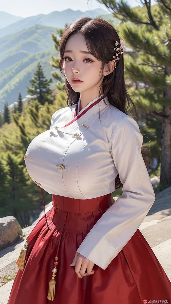 (best quality, 8K, masterpiece: 1.3), ((((((Incredibly huge breasts: 0.9))))), hairpin, (beautiful face:1.3), many pine trees, on the mountain, floating cherry blossom petals, very cool, authentic hanbok, Red skirt