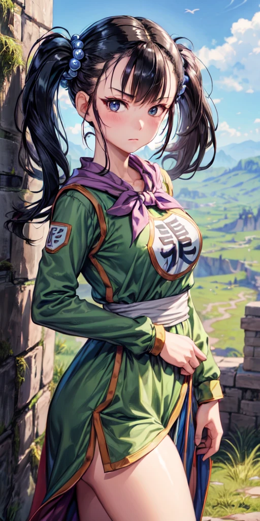 masterpiece, best quality, 4k, 8k, fighter (dq3), 1girl, solo, long hair, twintails, looking at viewer, black hair, hair ornament, long sleeves, dress, medium breasts, closed mouth, cowboy shot, black eyes, chinese clothes, hair bobbles, clenched hand, fighting stance, Ancient Castle, 