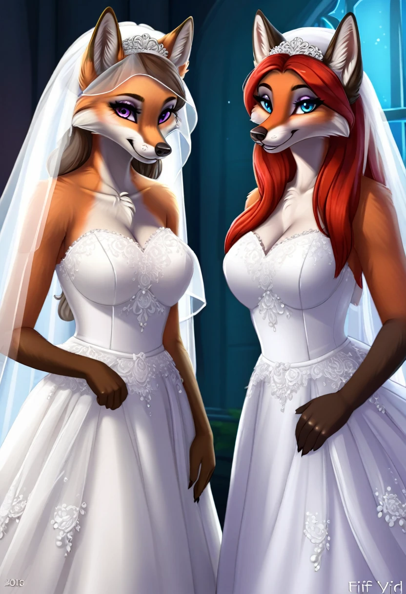furry fox yiff bride long veil veil veil women & women&#39;s wedding dress wedding dress puffy lace wedding dress long veil tiara chapel,