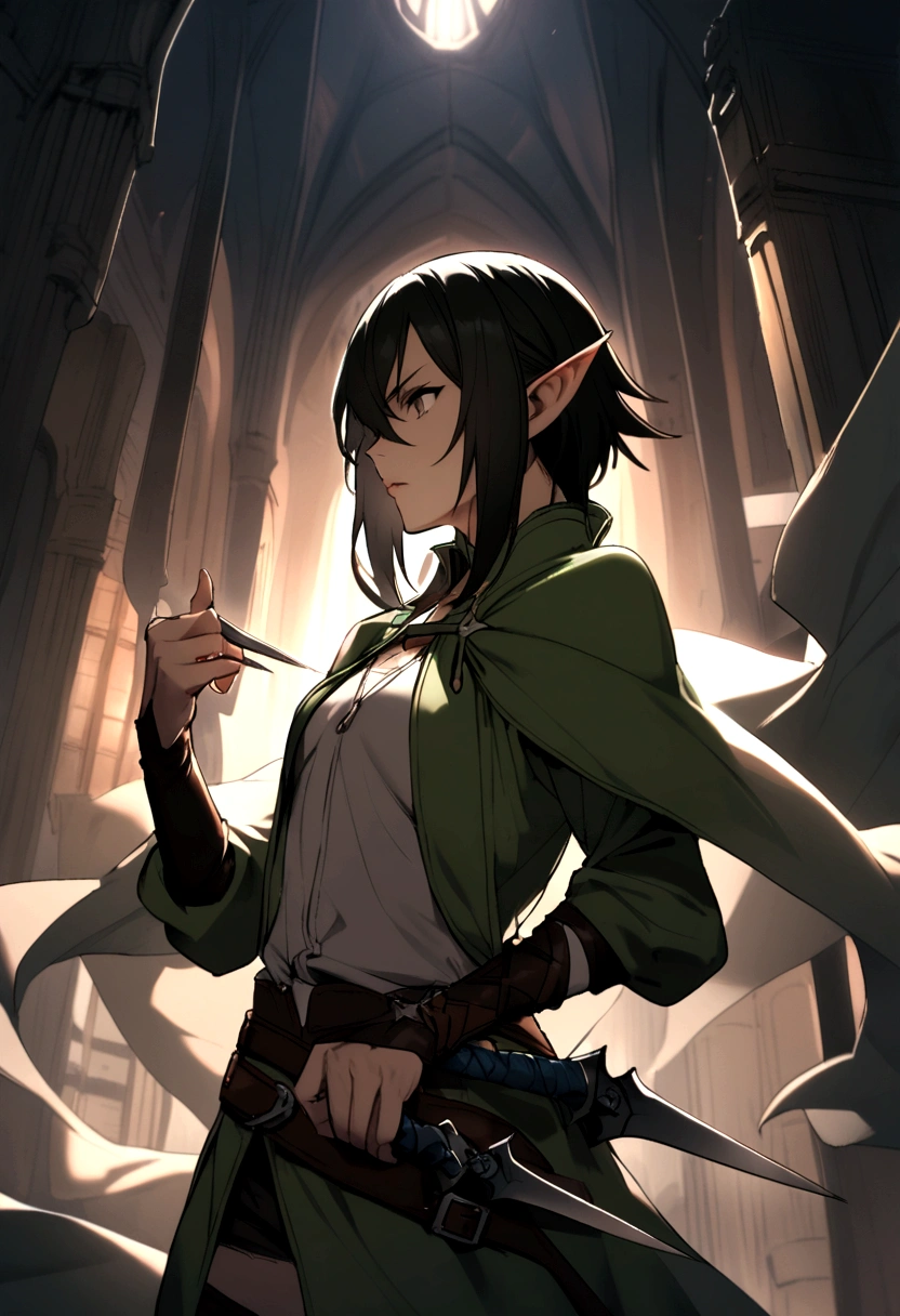 a half-elf assassin with two daggers in his hand