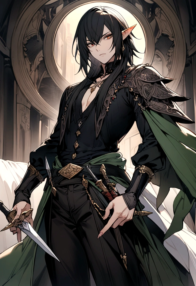 a half-elf assassin with two daggers in his hand wearing dark clothes MAN