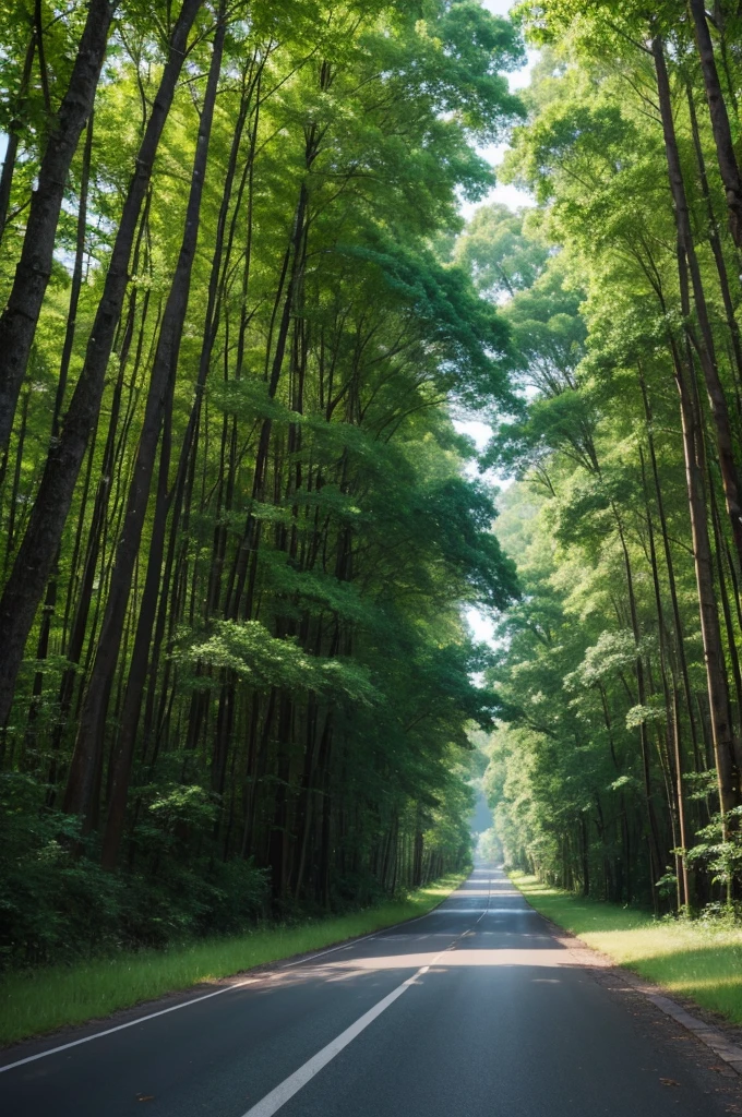 water forest road