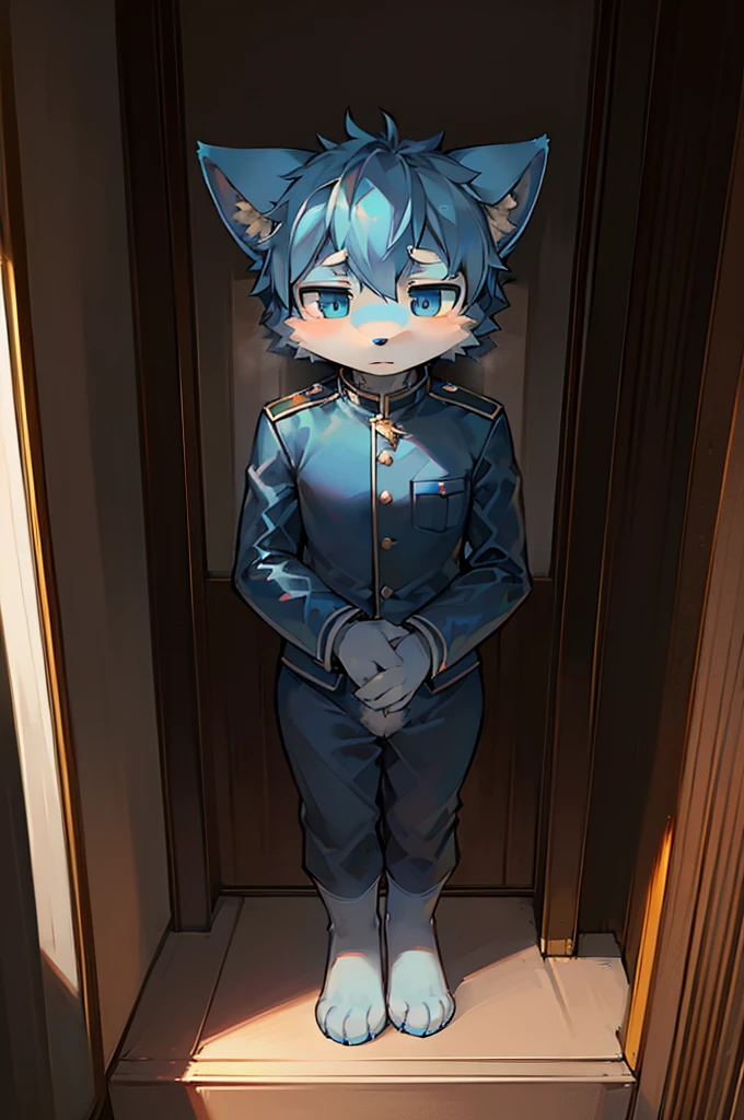 Normal scenario (Furry light blue fox boy), Standing，Facing the camera， ((Melancholy， Detailed face, Clear big eyes，blue eyes，Meticulous attention to detail)), Natural and soft lighting, 8K, SF Express, Autumn Light , peaceful , (Fluffy Paws), Wearing military uniform