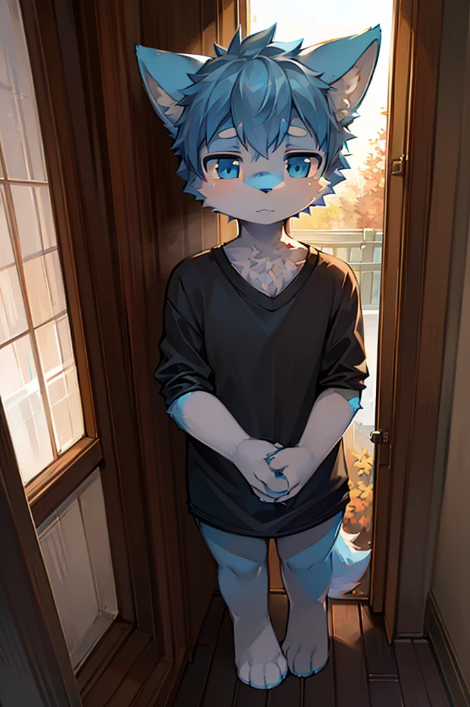 Normal scenario (Furry light blue fox boy), Standing，Facing the camera， ((Melancholy， Detailed face, Clear big eyes，blue eyes，Meticulous attention to detail)), Natural and soft lighting, 8K, SF Express, Autumn Light , peaceful , (Fluffy Paws), Wearing a shirt