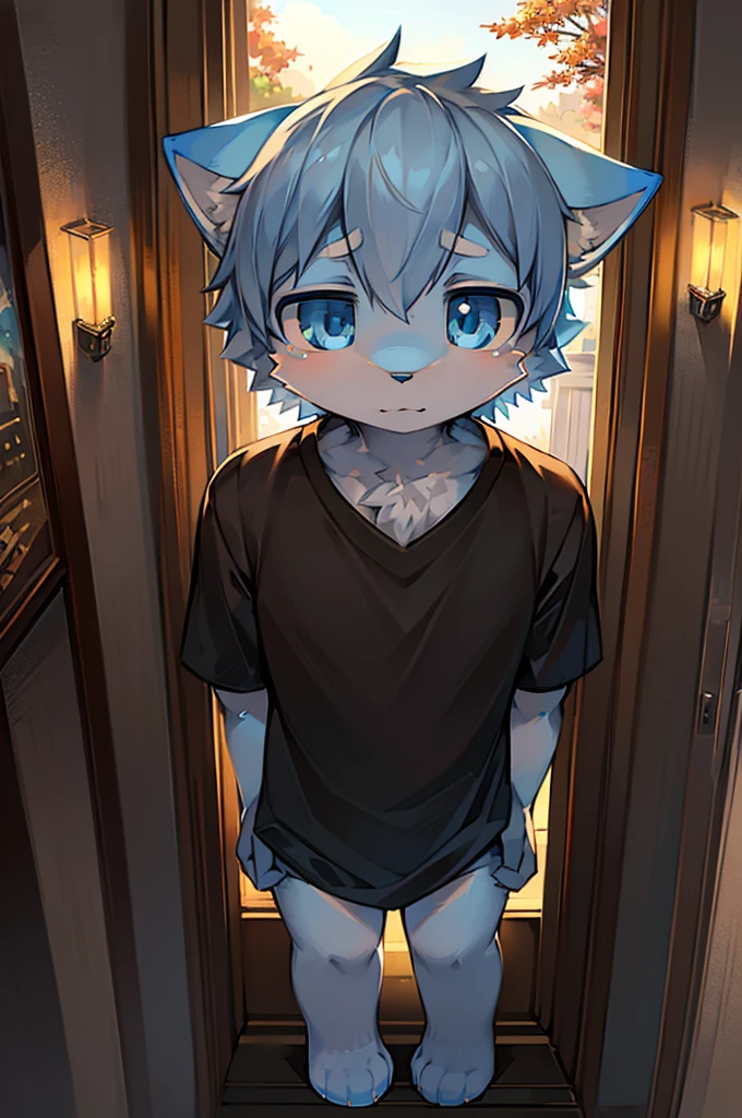 Normal scenario (Furry light blue fox boy), Standing，Facing the camera， ((Melancholy， Detailed face, Clear big eyes，blue eyes，Meticulous attention to detail)), Natural and soft lighting, 8K, SF Express, Autumn Light , peaceful , (Fluffy Paws), Front view，Wearing a shirt