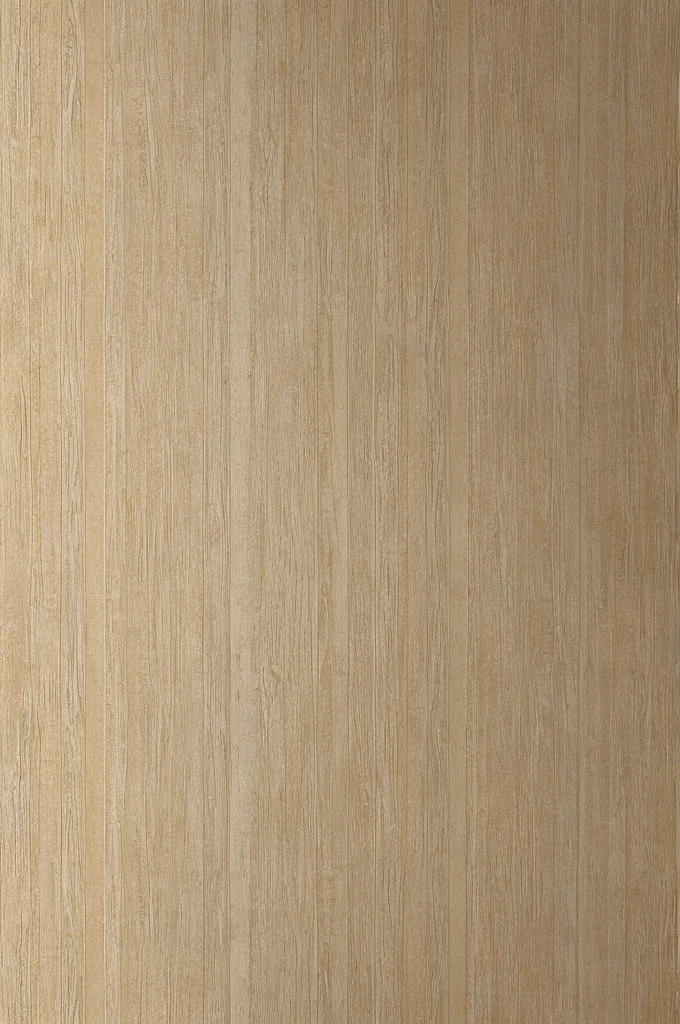 wallpaper, that says don't forget to pray today, with animated images of Jesus in the background, and also a cross in the background