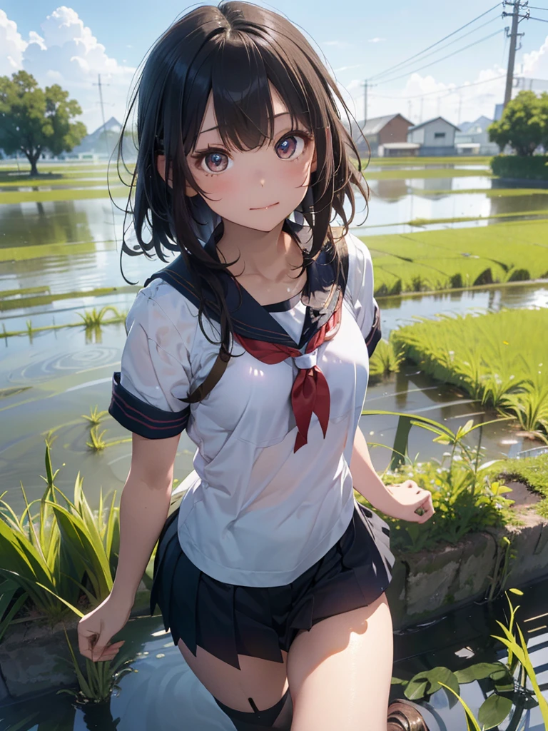 ((Best of the highest quality, 8k, Masterpiece, raw photo: 1.2)), (Sharp focus: 1.2), (1 AESPA, slim body type female, 21 y/o: 1.1), (solo: 1.28), (realistic, photo-realistic:1.37), face focus, cute face, finely eyes, (droopy eyes: 1.32), (Emphasize prominent aegyo-sal with bright: 1.2), shimmering eyeshadow applied under the lower lash line, paired with thick, (small breasts, flat chest, Thigh: 1.3), (short messy hair, bangs: 1.28), (bra top: 1.2), school sailor uniform, ribbon: 1.1), walking in river, (rice field, paddy field: 1.1), flower, (from below: 1.16)