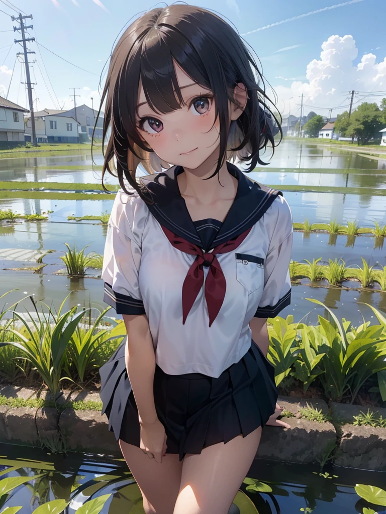 ((Best of the highest quality, 8k, Masterpiece, raw photo: 1.2)), (Sharp focus: 1.2), (1 AESPA, slim body type female, 21 y/o: 1.1), (solo: 1.28), (realistic, photo-realistic:1.37), face focus, cute face, finely eyes, (droopy eyes: 1.32), (Emphasize prominent aegyo-sal with bright: 1.2), shimmering eyeshadow applied under the lower lash line, paired with thick, (small breasts, flat chest, Thigh: 1.3), (short messy hair, bangs: 1.28), (bra top: 1.2), school sailor uniform, ribbon: 1.1), walking in river, (rice field, paddy field: 1.1), flower, (from below: 1.16)