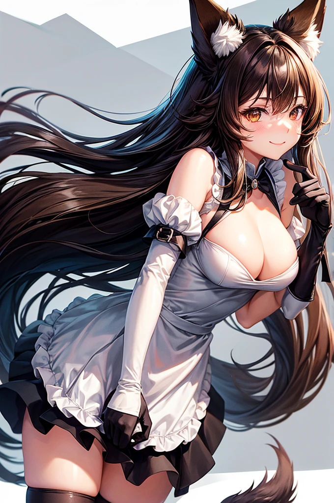 best quality, solo,Franka, 1girl, solo, long hair, breasts, looking at viewer, blush, smile, bangs, skirt, large breasts, simple background, brown hair, shirt, thighhighs, gloves, white background, animal ears, hair between eyes, brown eyes, very long hair, closed mouth, tail, short sleeves, black gloves, elbow gloves, maid dress, animal ear fluff, fox ears, fox tail, fox girl, single thighhigh, grey shirt, asymmetrical legwear,