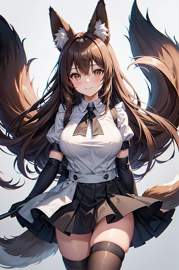 best quality, solo,Franka, 1girl, solo, long hair, breasts, looking at viewer, blush, smile, bangs, skirt, large breasts, simple background, brown hair, shirt, thighhighs, gloves, white background, animal ears, hair between eyes, brown eyes, very long hair, closed mouth, tail, short sleeves, black gloves, elbow gloves, maid dress, animal ear fluff, fox ears, fox tail, fox girl, single thighhigh, grey shirt, asymmetrical legwear,