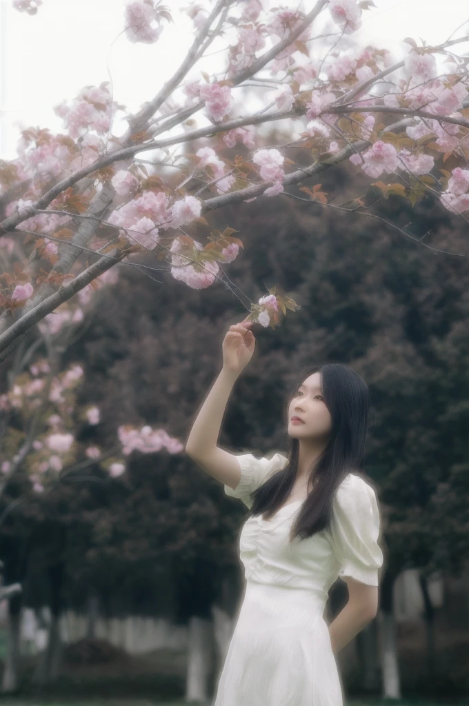 , Cai Zhiyun, lu ji, Medium Format. Soft Light, Inspired by Yin Dourui, A young Asian woman, A beautiful woman in white, Photos taken with Canon 5d, Shot with Canon EOS 5D, nico wearing a white dress, beautiful girl, Xue Han, Single image,(Top quality, 8K, masterpiece: 1.3), Beautiful woman with perfect body: 1.4, Very rich face and skin details, Delicate eyes, Double eyelids, Duet