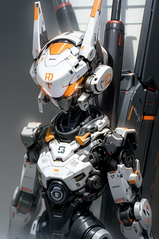 The twin body。Black and white coloring。MECA。droid。robot。