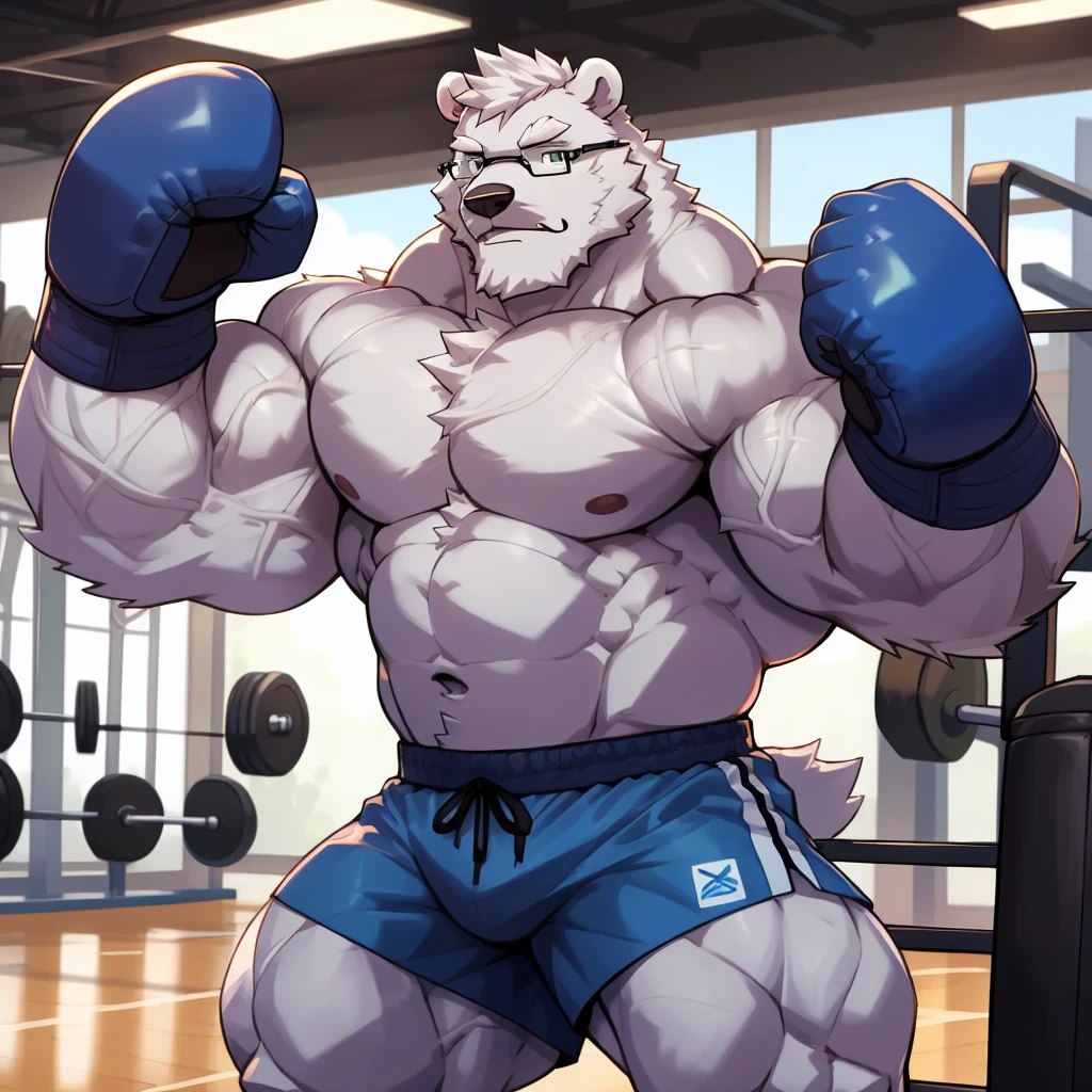 solo, 1boy, Huge Muscular Daddy White Polar Bear wearing glasses, huge white fur, pectoral, huge pectoral, wide pectoral, short white hair, blue colored gym short pants, blue colored wrapped hands and shirtless and toppless, white bearded, white Mustache, white fur, gym background, boxing training, veins popping masterpiece, high detailed, 8k, high resolution, at the gym, punching the punching bage