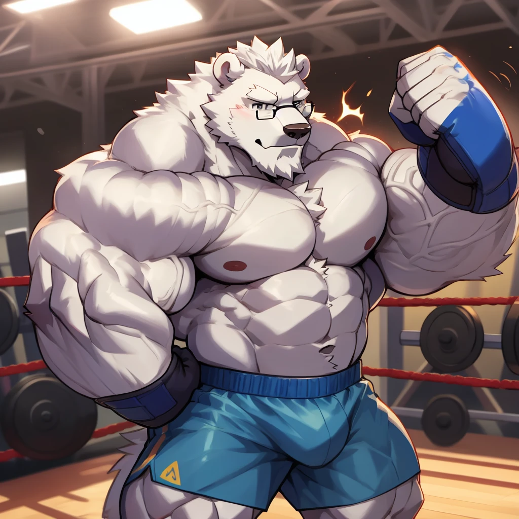solo, 1boy, Huge Muscular Daddy White Polar Bear wearing glasses, huge white fur, pectoral, huge pectoral, wide pectoral, short white hair, blue colored gym short pants, blue colored wrapped hands and shirtless and toppless, white bearded, white Mustache, white fur, gym background, boxing training, veins popping masterpiece, high detailed, 8k, high resolution, at the gym, punching the punching bage