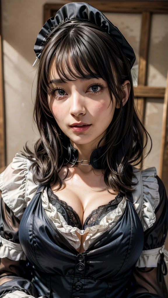 (Absurdly , high quality , Super detailed:1.2 ) ,( Handcrafted details ) , (Highly detailed beautiful face:1.2),masterpiece, Highest quality, High resolution, Absurd, 8K, 4K, Official Art,, , (flat_color:0.9),, , One girl, big_chest, Maid clothes, 灰colorの髪の毛, , , ((Natural big breasts:1.2))