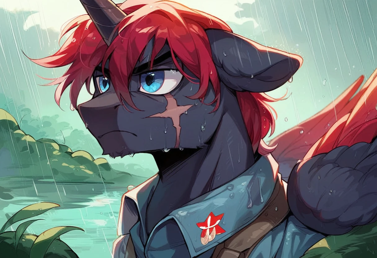 Male alicorn pony, black fur, long red hair, deep blue eyes, red feathers on wings, scar over left eye, red striping, vietnam-era helicopter pilot uniform, boonie hat, in a swamp, raining, wet hair, frown, close-up portrait