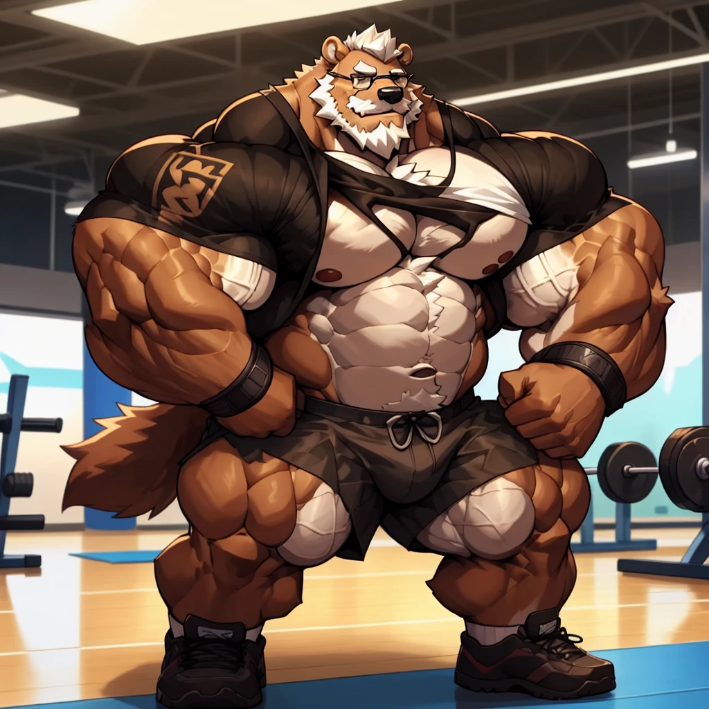 solo, 1boy, Huge Muscular Old Grizzly Bear wearing glasses, correct anatomy, steroid, pectoral, huge pectoral, wide pectoral, short white hair, black gym short pants, black wristbands, bearded, Mustache, gym background, masterpiece, high detailed, 8k, high resolution, at the gym, ripping his shirt off
