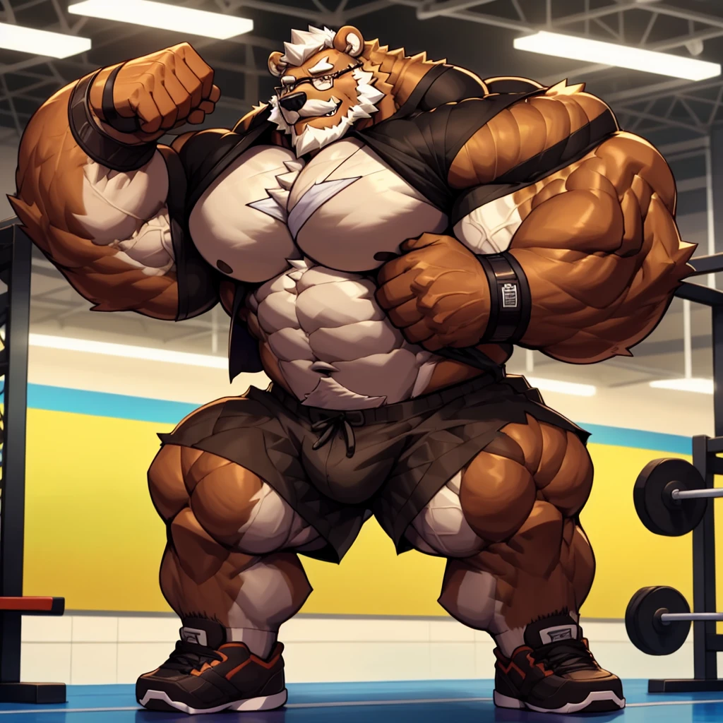 solo, 1boy, Huge Muscular Old Grizzly Bear wearing glasses, correct anatomy, steroid, pectoral, huge pectoral, wide pectoral, short white hair, black gym short pants, black wristbands, bearded, Mustache, gym background, masterpiece, high detailed, 8k, high resolution, at the gym, ripping his shirt off