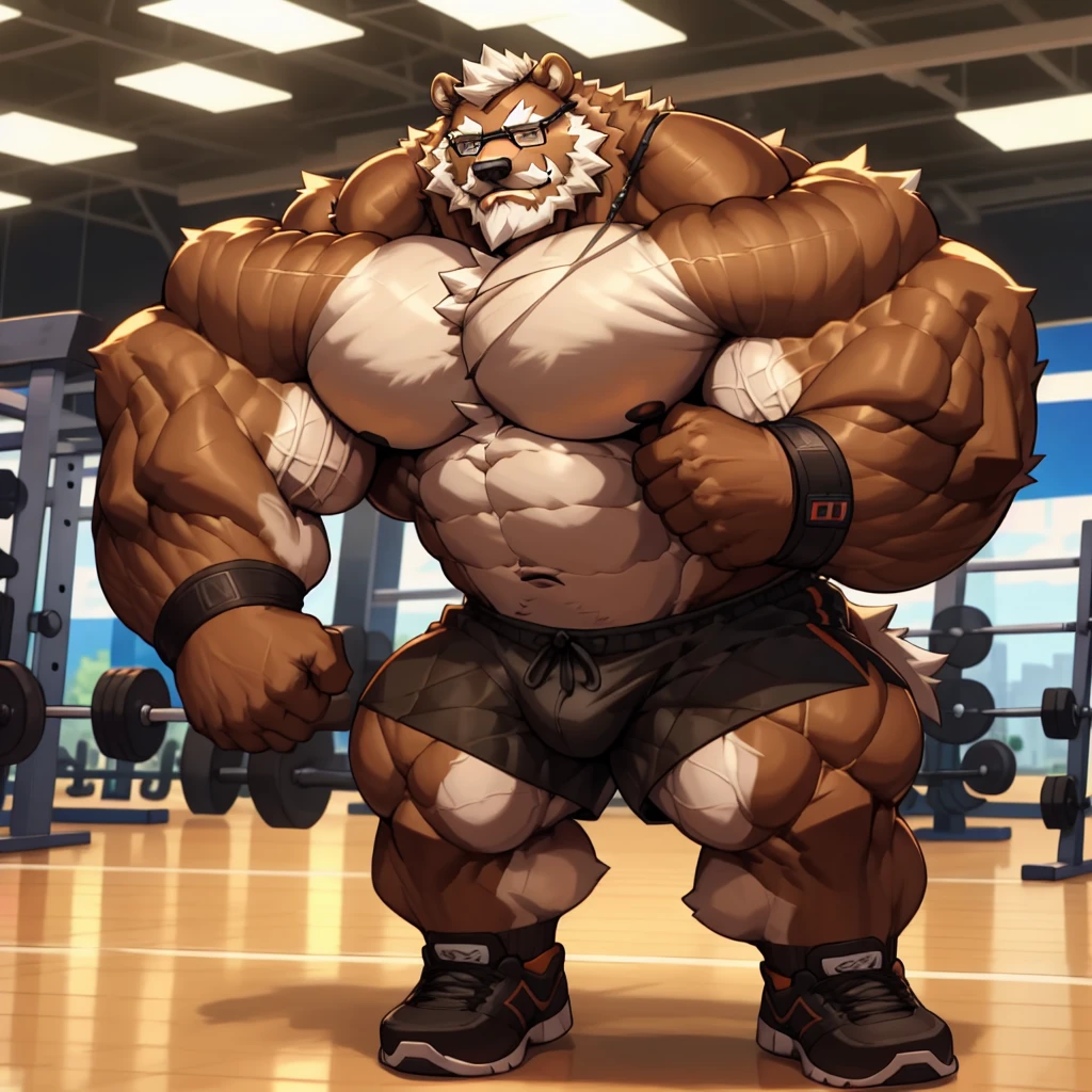 solo, 1boy, Huge Muscular Old Grizzly Bear wearing glasses, correct anatomy, steroid, pectoral, huge pectoral, wide pectoral, short white hair, black gym short pants, black wristbands, bearded, Mustache, gym background, masterpiece, high detailed, 8k, high resolution, at the gym, tears his shirt off