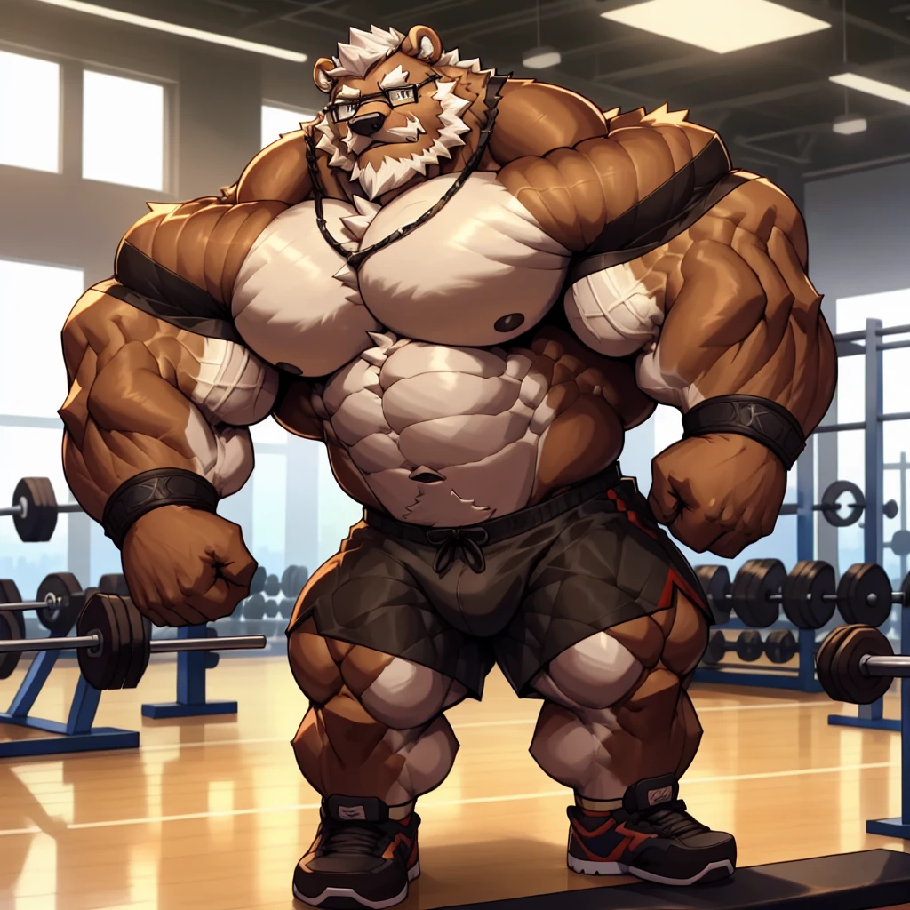 solo, 1boy, Huge Muscular Old Grizzly Bear wearing glasses, correct anatomy, steroid, pectoral, huge pectoral, wide pectoral, short white hair, black gym short pants, black wristbands, bearded, Mustache, gym background, masterpiece, high detailed, 8k, high resolution, at the gym, tears his shirt off