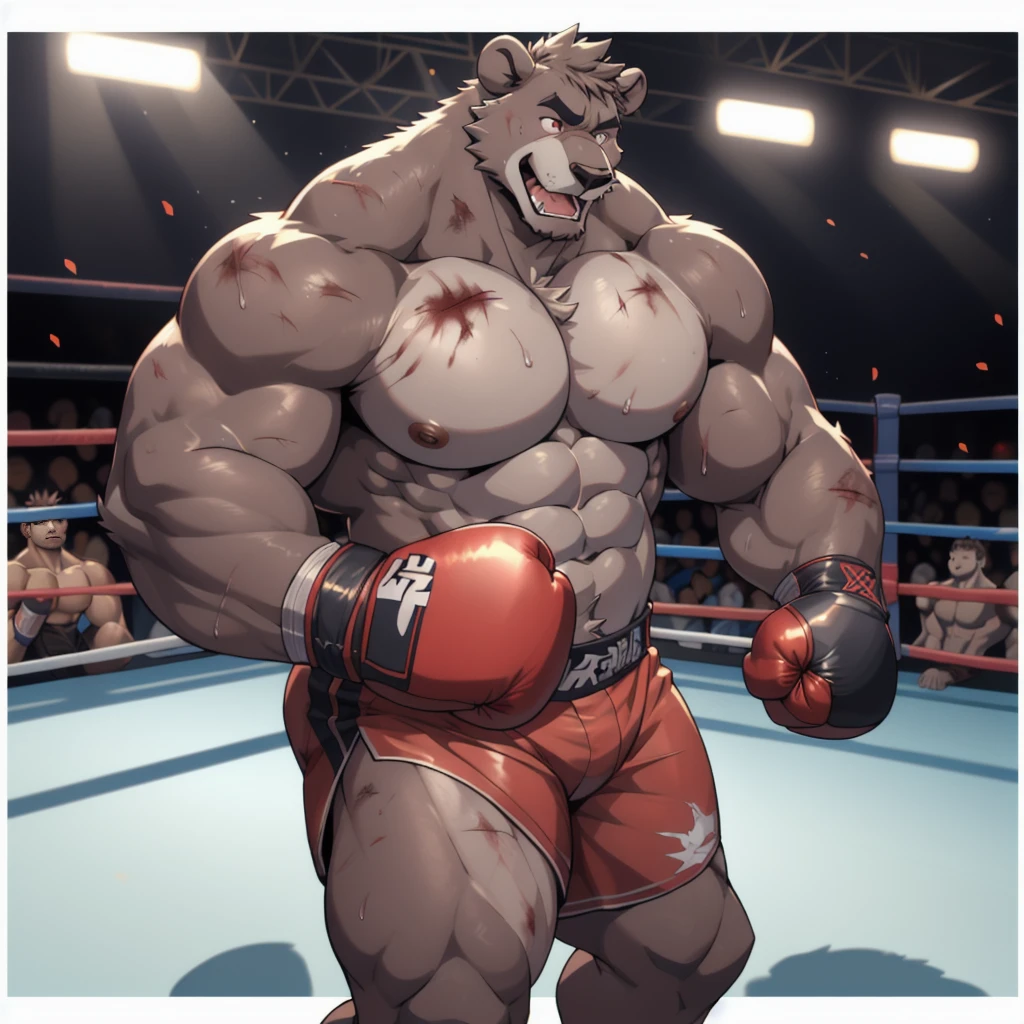 Lora:baloo, full height. 4k, high resolution, best quality, posted on e621, solo, anthro body, male bear, adult, masculine, (thick, strong pectorals, defined muscles, muscular shoulders), correct anatomy, (kickboxing ring background, Kickboxing Martial arts tournament background), (blurry background, out-of-focus background:1.2), (by wfa:1.0), (by takemoto arashi:1.0), (by Taran Fiddler:0.5), sexy, (cel shaded, cartoony shading:1.2), black lineart, black outline, flat coloring, (strong shadows, dark shadows:1.2), (pink shorts, topless, kickboxing MMA gloves), sexy shadows, lion tail, slim posture, open mouth, open:1 eyes, detailed eyes, tilted head, exhausted, wet sweat:1.2, (bruised:1.6, shiner:1.2), punching and kicking 