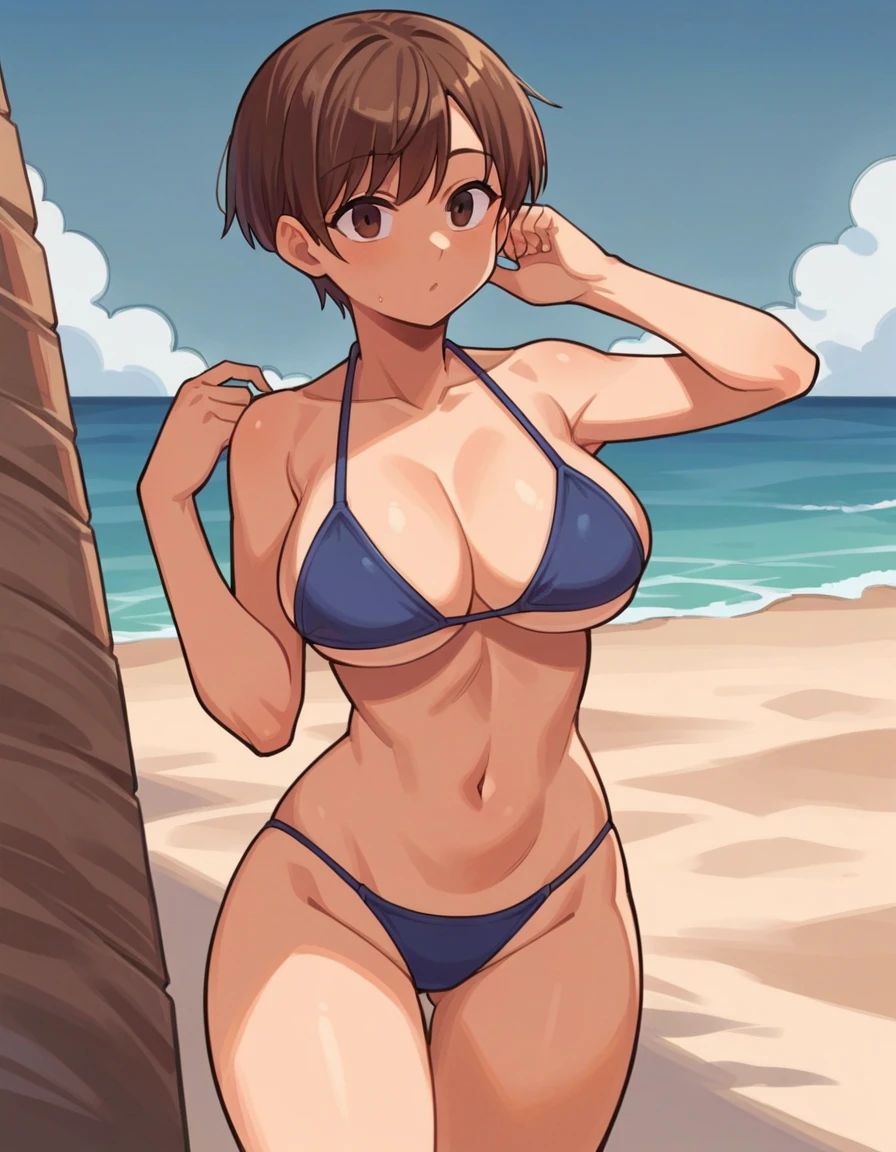 score_9, score_8_up, source_anime, clear face, 1girl, big breasts, brown hair, brown eyes, short hair, bikini, beach, standing