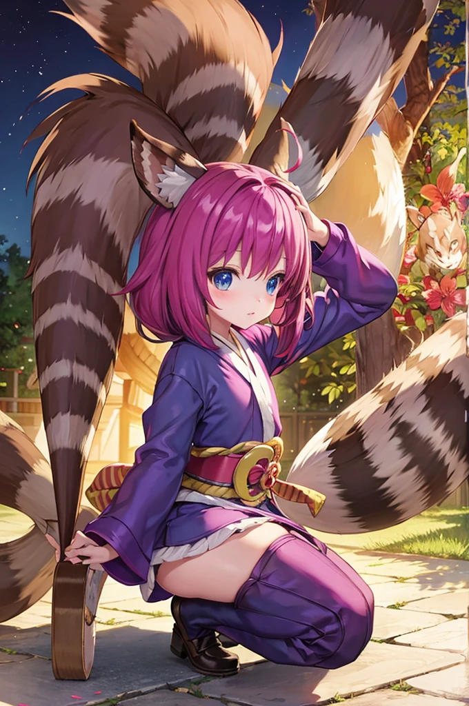 Nana kimono night in the childhood , racoon tails