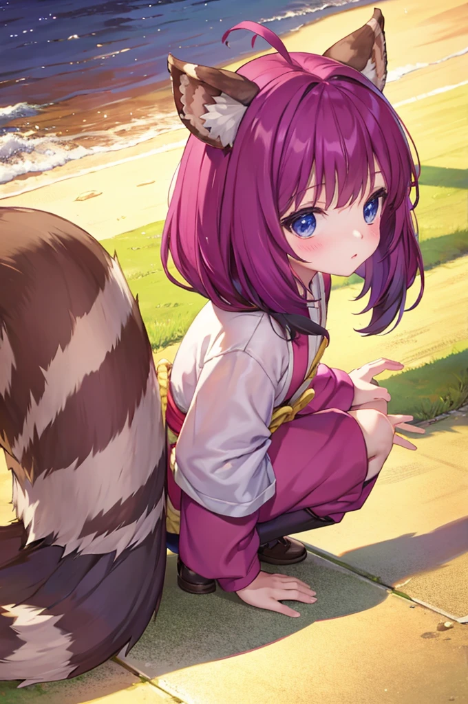 Nana kimono night in the childhood , racoon tails