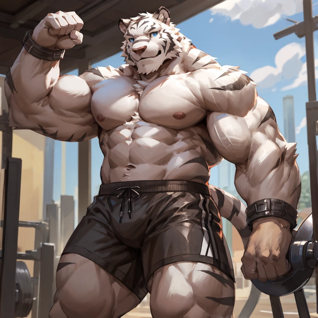 bynamic angle,depth of field, motion blur, absurdres,looking at viewer, (best quality), (masterpiece), (ultra detailed),(detailed eyes),sharp focus,japanese anime,manga,anthro male white tiger,(muscular),big fellow,huge body,((shirtless)), ((black gym shorts)), sky blue eyes,handsome,gym,(flexes two biceps),by null-ghost,by traver009,by lindong,by pino daeni