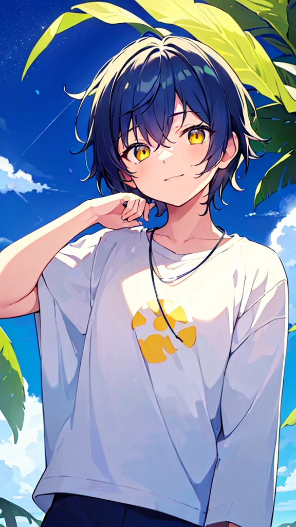[(SUMMER night BACKGROUND:1.5),::5], ((((masterpiece)))), high quality, very_high_resolution, large_filesize, upper body, full color, ((Solo)), ((little boy)), 13 old year, men's short deepblue hair, vivid color, ((yellow eye)), Summer clothes white, animestyle, light smile