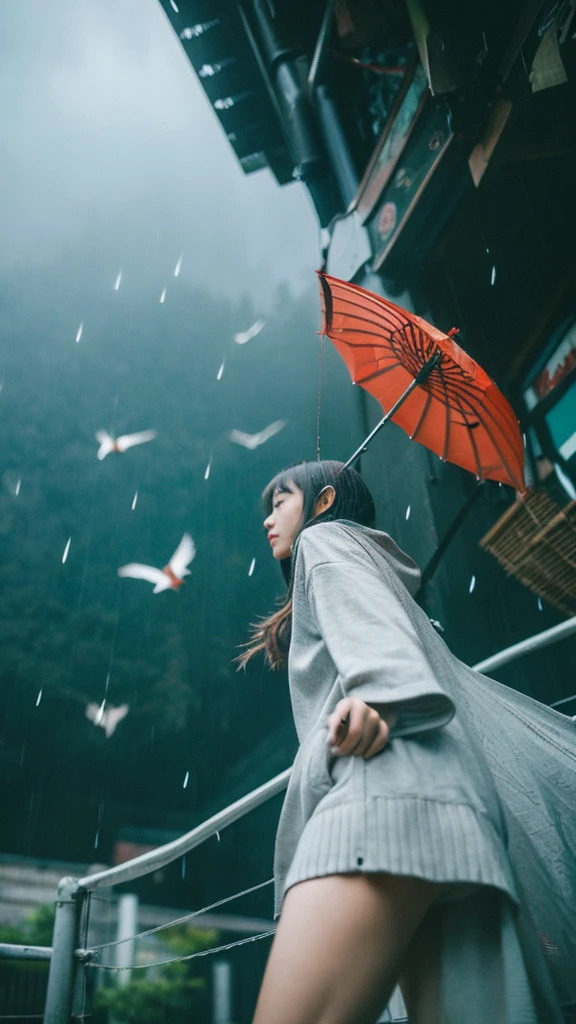 ((crane))、bird、Rainy Sky、1girl,from below