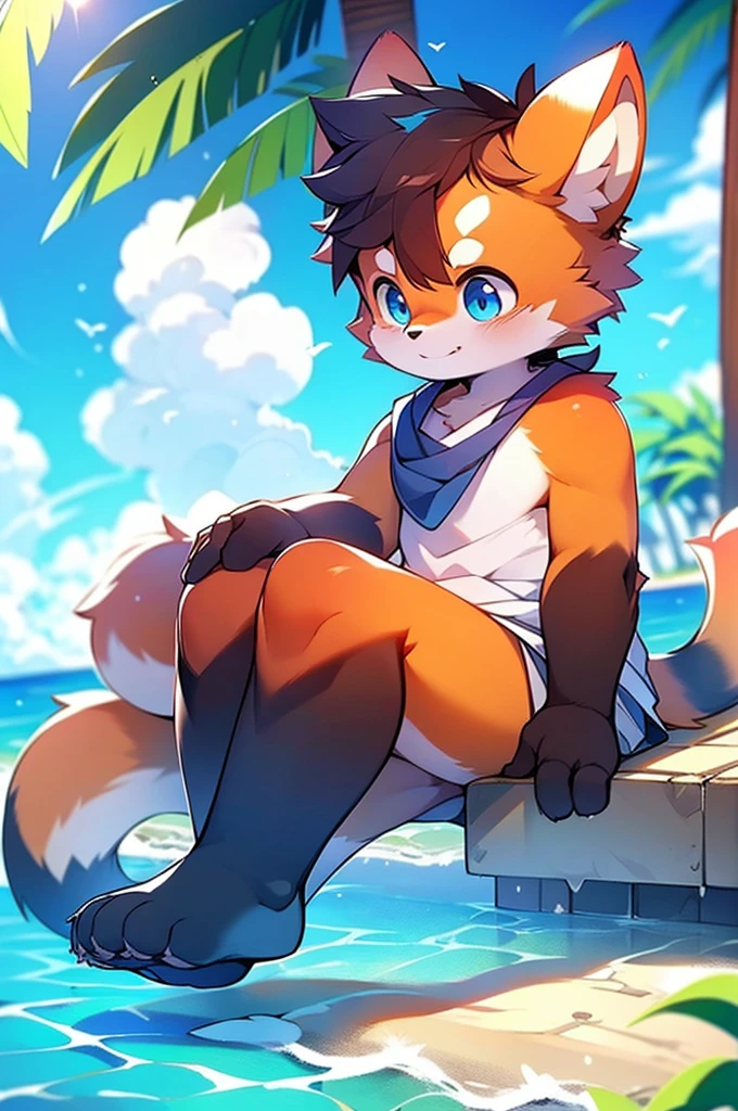 Male Red Panda, Ocean, ! One in heat, Sitting,fly in the sky,Blue light