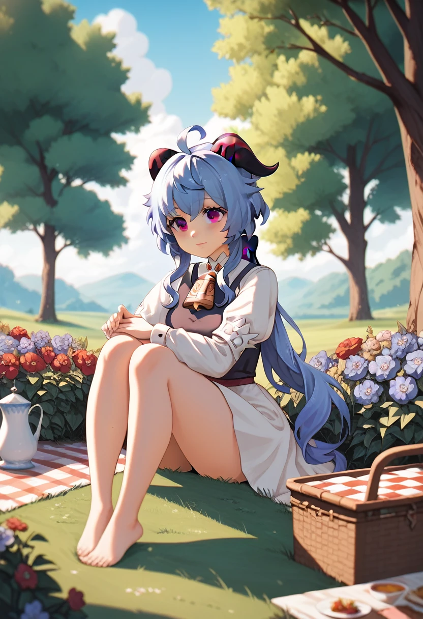 best quality, masterpiece, anime girl , young girl, 24 years old, thick legs , 1 girl, bangs,long hair, cute face, perfect shot, perfect anatomy, ganyu, medieval, garden background, mountais, forest, full body,  4k, high resolution , detailed face, detailed eyes, purple eyes, sitting, picnic, panorama pov, side view, watching the scenery, view from behind
