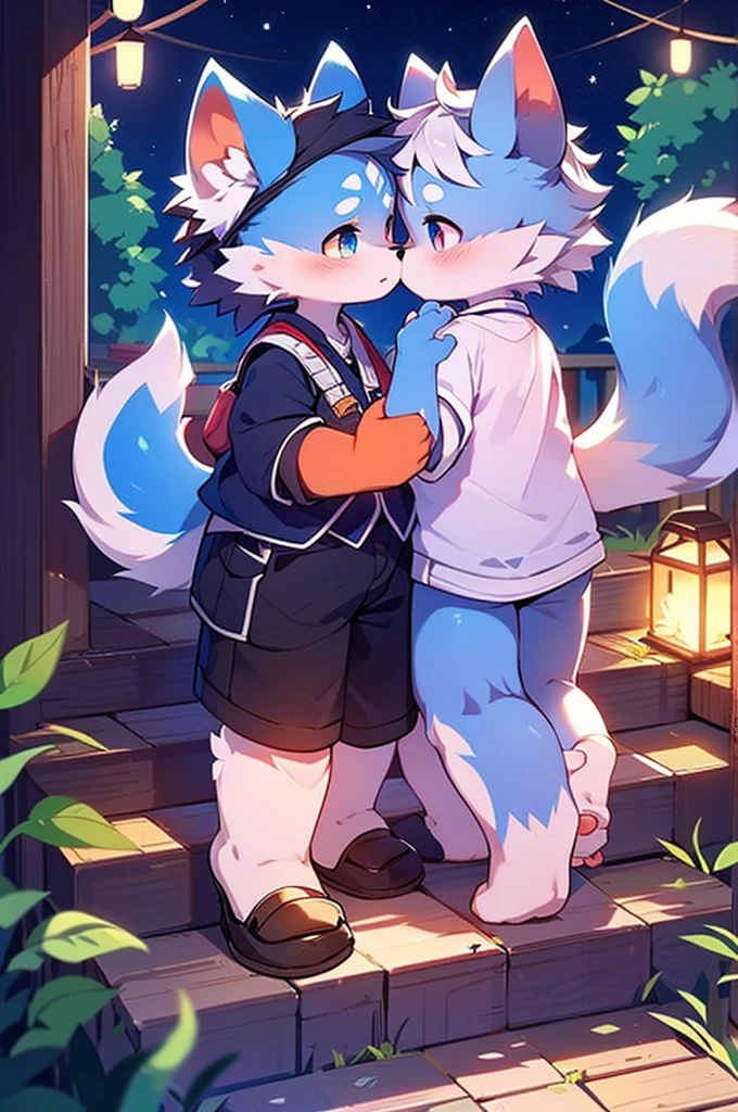Blue fur, Canine, fox motif, Couple of girls and boys, uniform、Hand in hand，One boy，One Girl，night，kiss