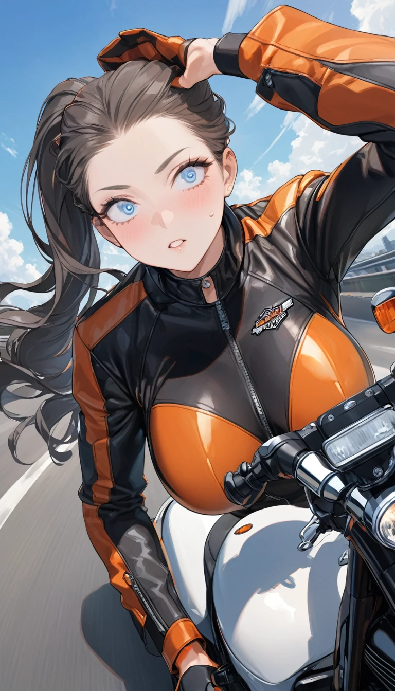 Highest quality, Super quality, 16K, Incredibly absurd, Very detailed, 2.5D,, delicate and dynamic, Small face, Extremely delicate facial expression, Delicate eye depiction, Upper body close-up, , erotic, One cool woman, 25-year-old woman, huge firm bouncing busts, Pointed Chest, sexy long legs, Tight black leather riding suit, A complex rider suit, shiny rider suit, Large Motorcycle, Harley-Davidson, Freeway, plateau, blue sky, Drifting Clouds, dynamic sexy poses, ,,, , , , ,