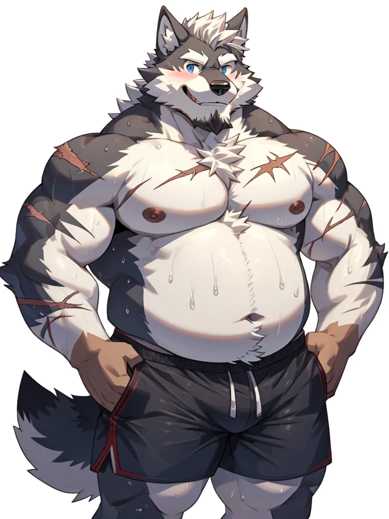 4k, high resolution, best quality, masterpiece, perfect shadows, front view, furry, solo, fat, beard, long white hair, wolf, short tail, male, masculine, belly, chubby, shirtless, handsome, wearing shorts briefs, belly, nipples, sweat, sweating, looking at viewer, shy, blushing smiling, happy, hands on hips((correct anatomy)), huge scars on body, white background 