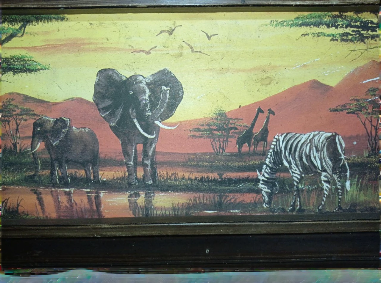 African savanna