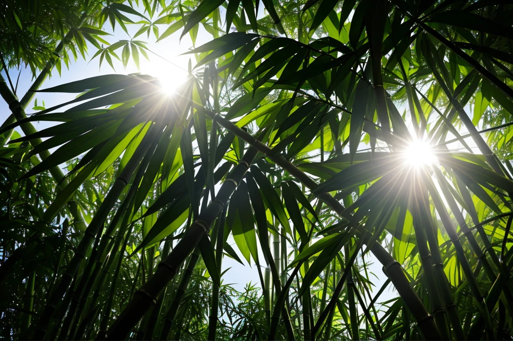 Sunlight filtering through bamboo leaves atmosphere high quality Real Low contrast Lots of white space in the middle