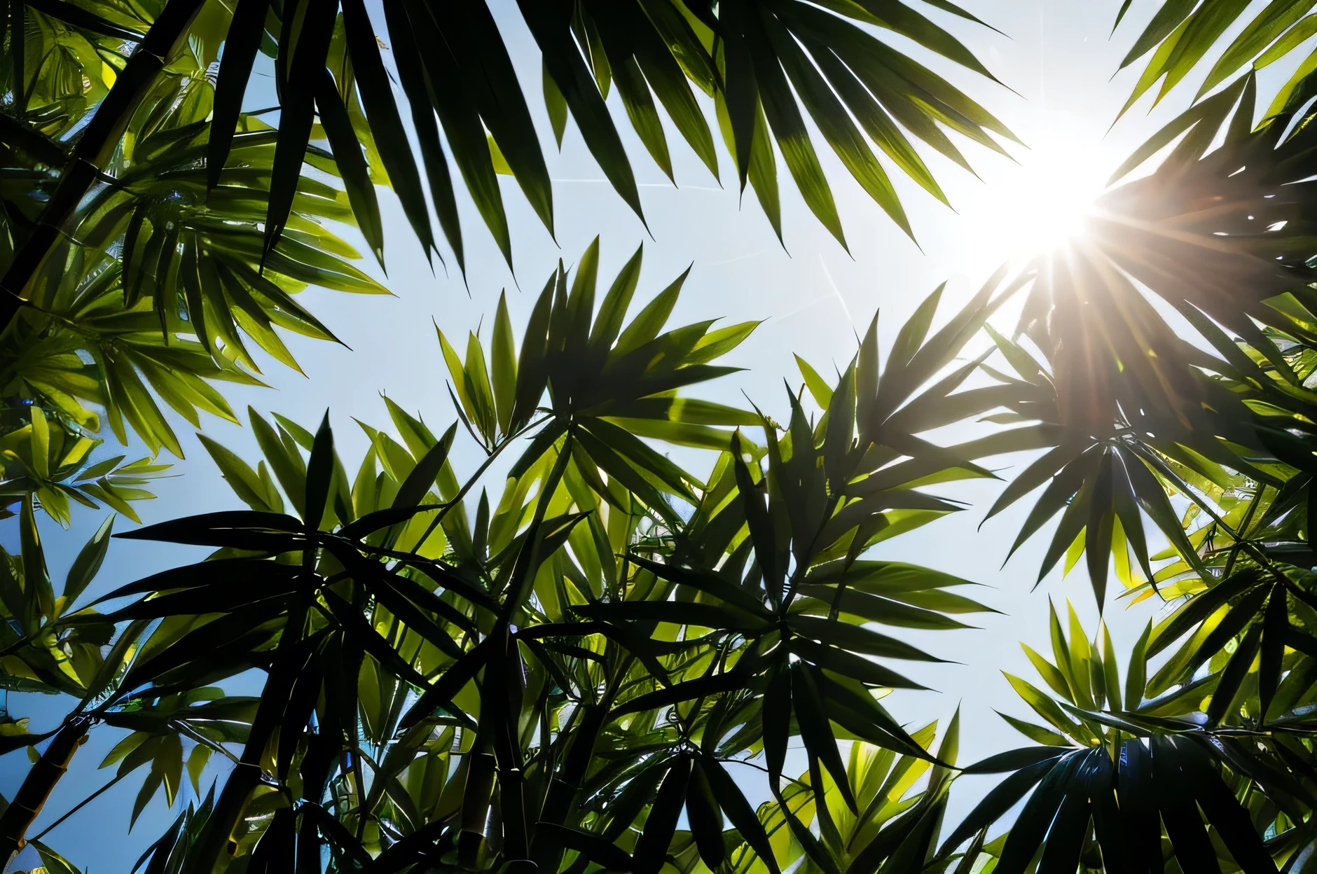 Sunlight filtering through bamboo leaves atmosphere high quality Real Low contrast Lots of white space in the middle Center margin of image