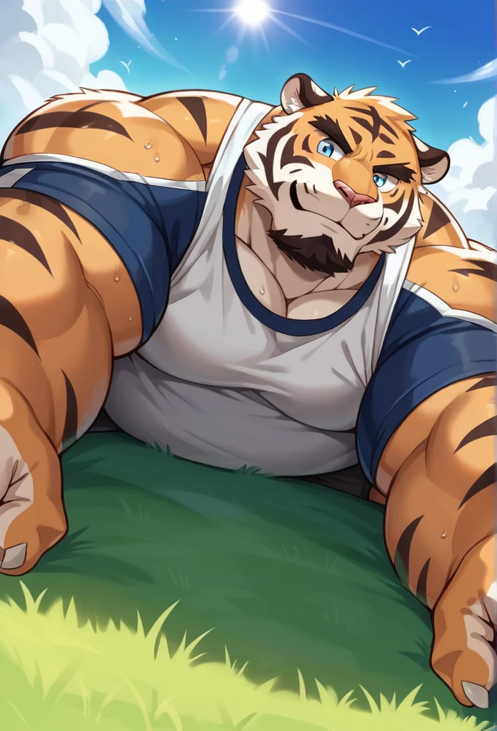 NJ5furry,white tiger,solitary,Beast field,chubby, Thick arms,Strong muscles,shorts,Plush,Chubby face,Black eyebrows,Sky blue eyes,beard,smirk:1.1,lying on the grass,on stomach, (from below:1.1),Lie down,(shirt,shorts),Sunlight,(sweat),by zixiong, Takemoto Arashi