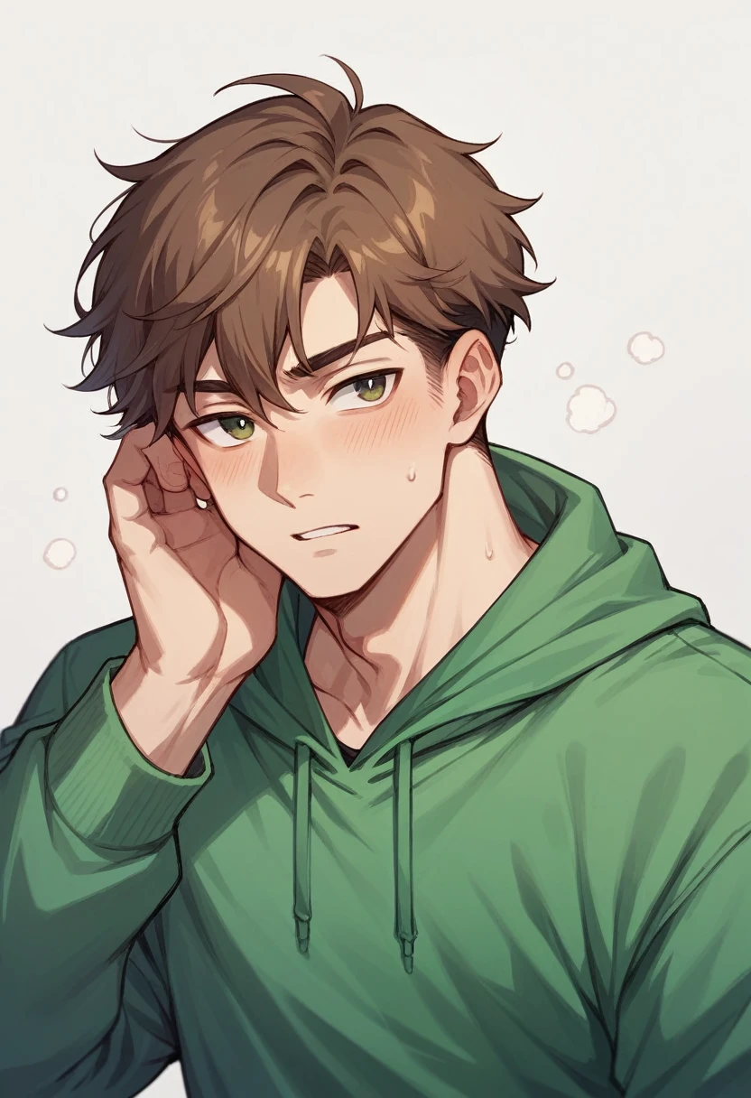 edd,A boy,with brown hair,green sweatshirt,Clear,estilo 2d