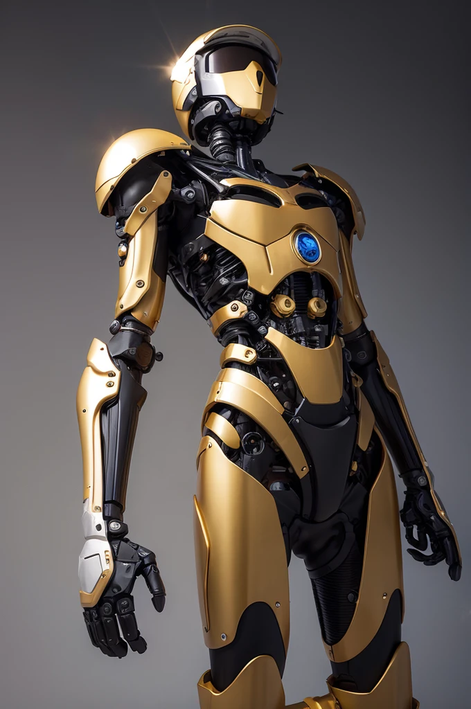 Mechanical body