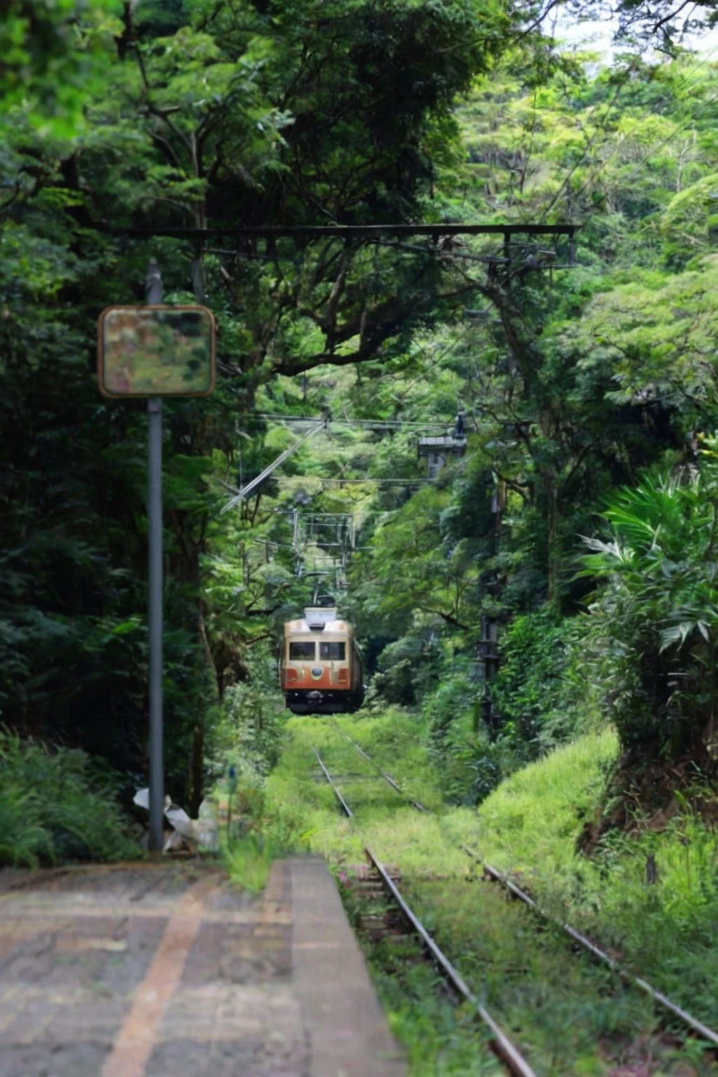 There is a train running on the tracks in the forest, On the jungle forest train track, With lots of plants, Surrounding the city, trams ) ) ), From the distance, Fertile surroundings, Very realistic, Very realistic, trams, around the city, Kamakura scene, tram, painting!!, In Karuizawa