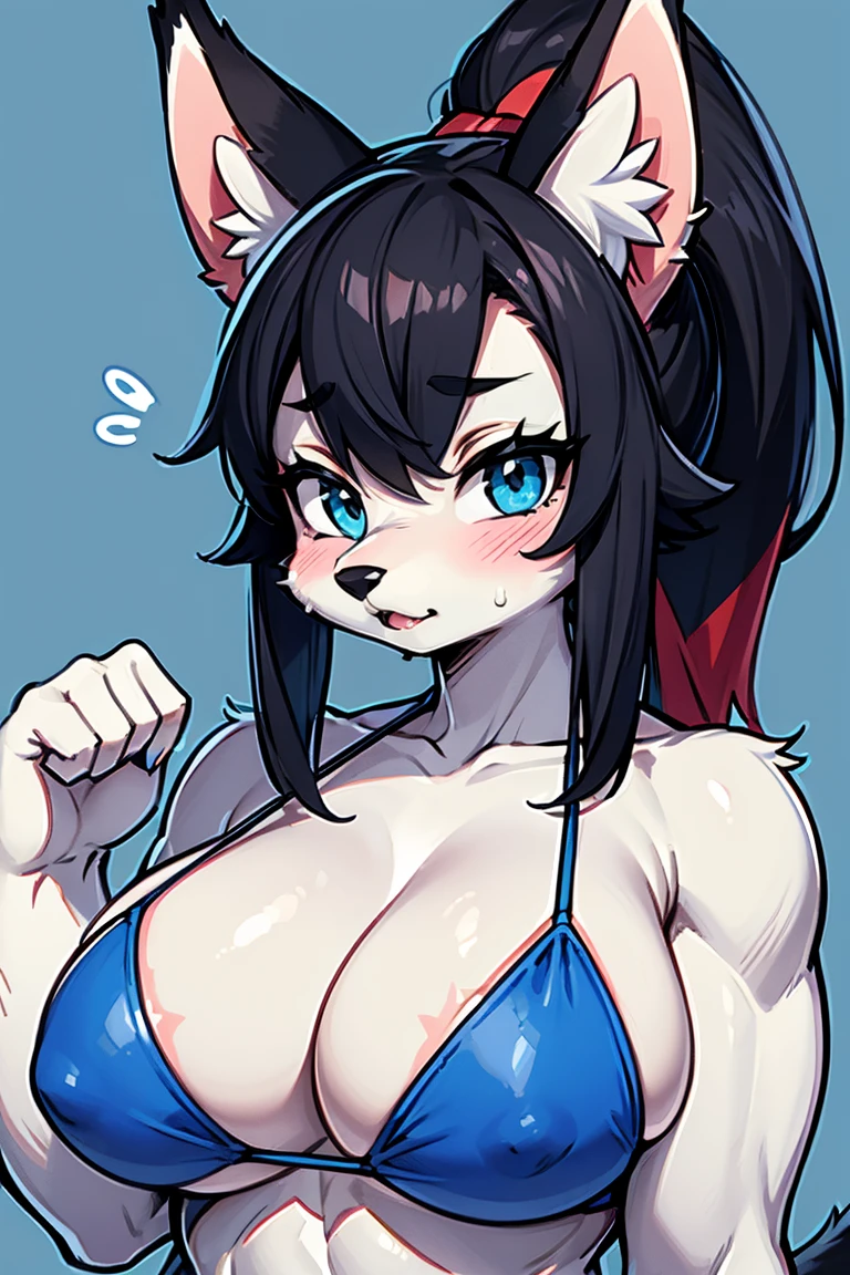 (master piece: 1.1), flying sweatdrops, furry, furry female, animal ears, tail, girl, big thick, thicker body, big breasts, swimsuit, white fur, wolf tail, bikini, abs, black hair, body fur, blue eyes, colored skin, snout, solo, blush, shy, mouth downturned, 1 fangs, blue bikini, animal nose, grey fur, blue background, navel, grey skin, wolf girl, wolf ears, day, two-tone fur, ponytail, pawpads, looking at viewer, bare shoulders, white skin, collarbone, muscular female, animal ear fluff, simple background, cross lined sketch