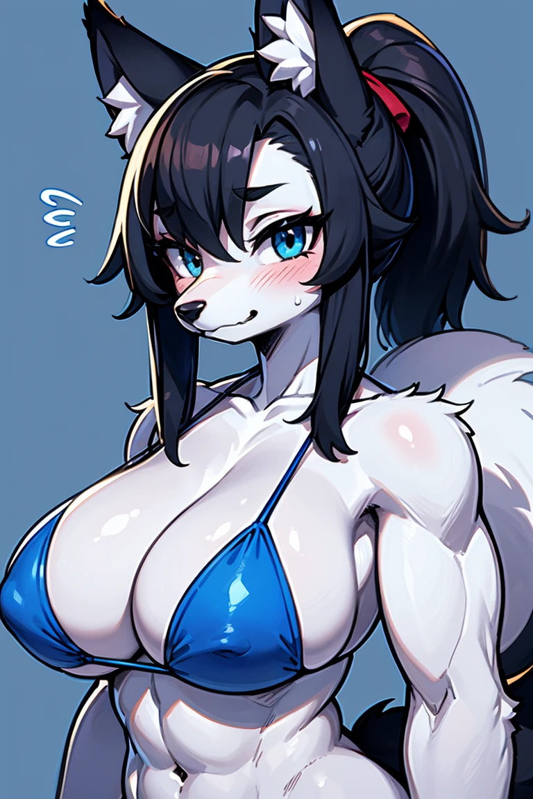 (master piece: 1.1), flying sweatdrops, furry, furry female, animal ears, tail, girl, big thick, thicker body, big breasts, swimsuit, white fur, wolf tail, bikini, abs, black hair, body fur, blue eyes, colored skin, snout, solo, blush, shy, mouth downturned, 1 fangs, blue bikini, animal nose, grey fur, blue background, navel, grey skin, wolf girl, wolf ears, day, two-tone fur, ponytail, pawpads, looking at viewer, bare shoulders, white skin, collarbone, muscular female, animal ear fluff, simple background, cross lined sketch